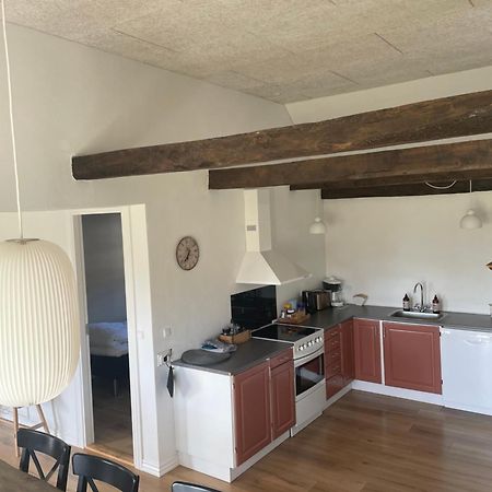 Baekgaarden 3 Rooms Apartment - Old Farm House Odense Luaran gambar
