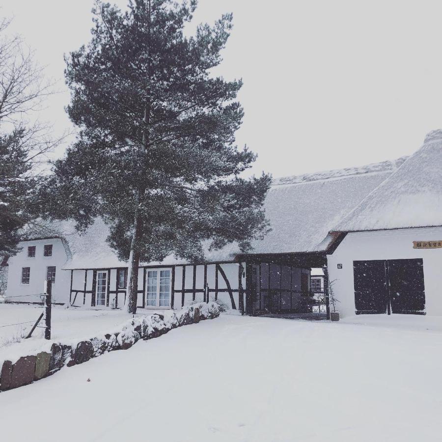 Baekgaarden 3 Rooms Apartment - Old Farm House Odense Luaran gambar