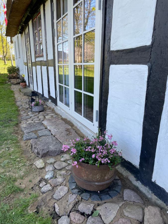 Baekgaarden 3 Rooms Apartment - Old Farm House Odense Luaran gambar